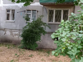2-rm apt., 45 м², 2/5 fl.