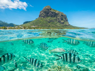 Luxury Mauritius