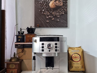 Delonghi Magnifica S