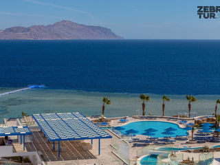 Egipt, Sharm El Sheikh - Albatros Palace Resort Sharm El Sheikh 5* foto 5