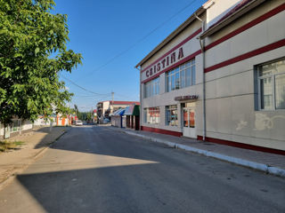 Spatiu comercial Edinet foto 5