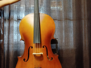 Violoncel Thomann Student Cello 4/4