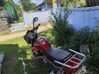 Fekon Fekon 4g 150cc foto 2