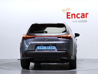 Lexus UX 300e foto 4