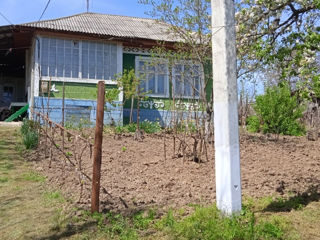 Se vinde casa in satul Napadeni