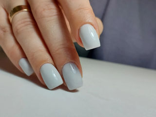 Alungirea unghilor +shellac  /наращивание ногтей : коррекция ;лак-гель    чеканы foto 7