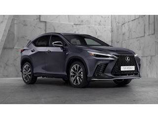 Piese Noi LEXUS NX