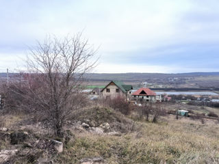 Vinzare teren pentru constructie in Nimoreni foto 7