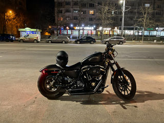 Harley - Davidson Sportster Iron 883 foto 2