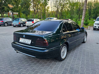 BMW 5 Series foto 5