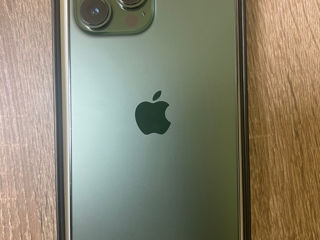 iPhone 13 Pro Max Green Ideal