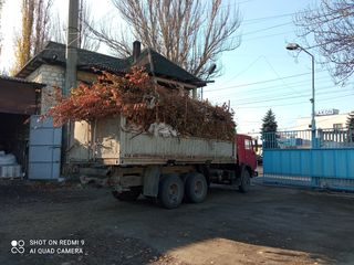 Kamaz сельхоз foto 4