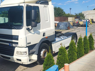 Daf Cf