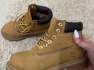 Bocanci Timberland original