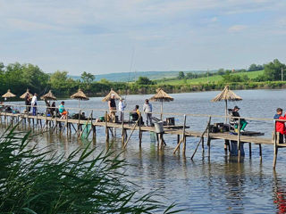 Vand afacerea (Pensiune: Piscina, Restaurant, Cabane, Cazare, Sala de banket, terase,..) foto 6