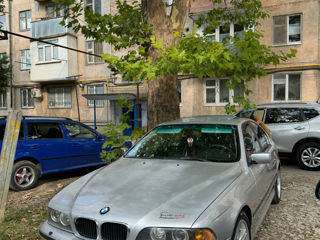 BMW 5 Series foto 5