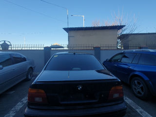 BMW 5 Series foto 2