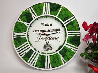 Cadouri pentru profesori  foto 0