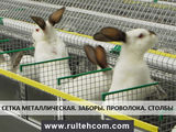 Сетка металлическая для кроликов. Plasa metalica pentru iepuri. Заборы металлические. Проволока.