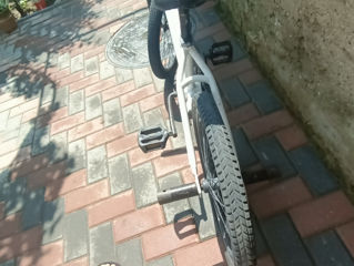 BMX фото 4