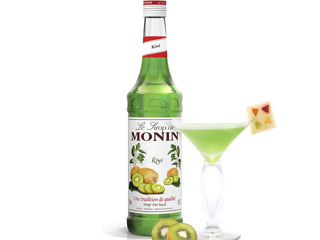 Sirop de Kiwi Monin Franța 1000 ml Livrare Moldova