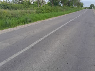 Se vinde teren agricol la traseu Ialoveni -Costesti foto 4