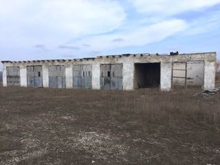 Dam in chirie fabrica de pasari din or Drochia, pe terenul careia se afla spatii pentru producere, foto 3