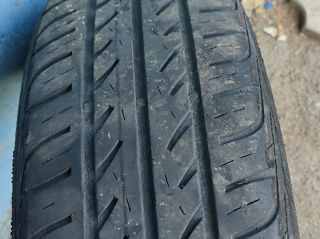 Cauciucuri vara 195/65r15