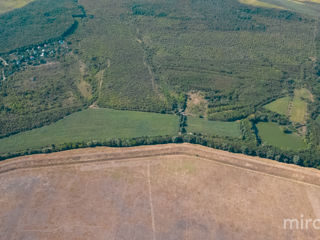 Se vinde teren agricol în or. Vadul lui Vodă! foto 3