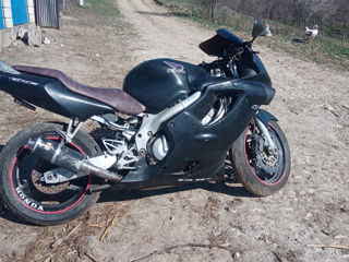 Honda CBR 600 RR foto 4