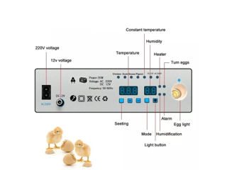 Incubator pentru oua Demetra DM-176-livrare-credit foto 5