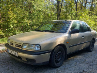 Nissan Primera