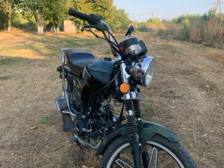 Alpha Moto Alpha rx 110 cc