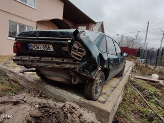 Opel Vectra foto 7