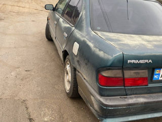 Nissan Primera foto 4