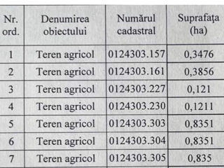 Noroc pentru toate viața