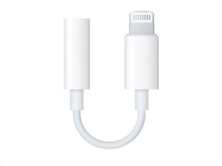 Adaptor iPhone