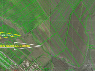 Vind teren agricol 0,89ha Orhei; Lupoaica foto 2