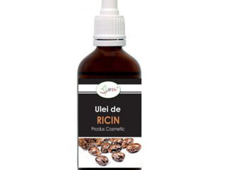 Ulei jojoba, argan si in presat la rece масло жожоба, арган и льняное foto 15