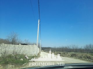 Vînzare teren! Poiana Domnească, pt. construcții, 4,2 ari, ofertă urgentă! foto 3