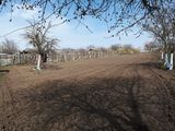 Casa de locuit, s. Slobozia, Stefan Voda, posibil schimb pe auto foto 4