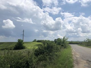 se vinde teren agricol 324 Sote Colonita prima linie  7KM de la Ciocana. Direct de la propiietar foto 5