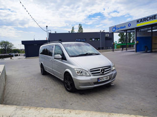 Mercedes Viano