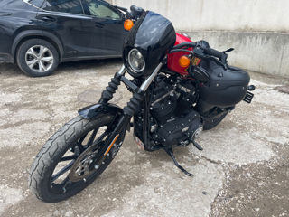 Harley - Davidson Iron 883 foto 4