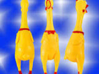 Желтый кричащий резиновый цыпленок для собак foto 1