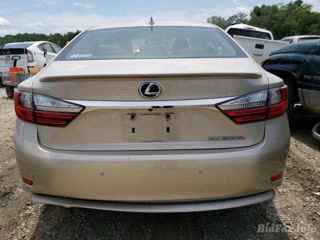 Lexus Es 300H foto 5