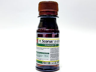 Super Oferta !!! Fungicid Scorus 25 EC (difenoconazol 250 g/l), Ambalaj: 5 ml., 50 ml. foto 3