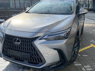 Lexus NX Series