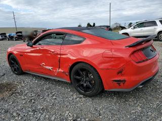 Ford Mustang foto 4