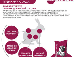 Premix pentru iepuri din ziua a 20-a si iepuri mama AVA Rabbit MIX 5% foto 4
